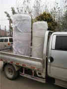  100萬大卡柴油熱水鍋爐