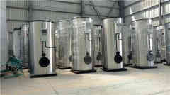  兩噸浴池?zé)崴仩t