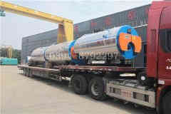  20噸燃油燃?xì)鉄崴仩t