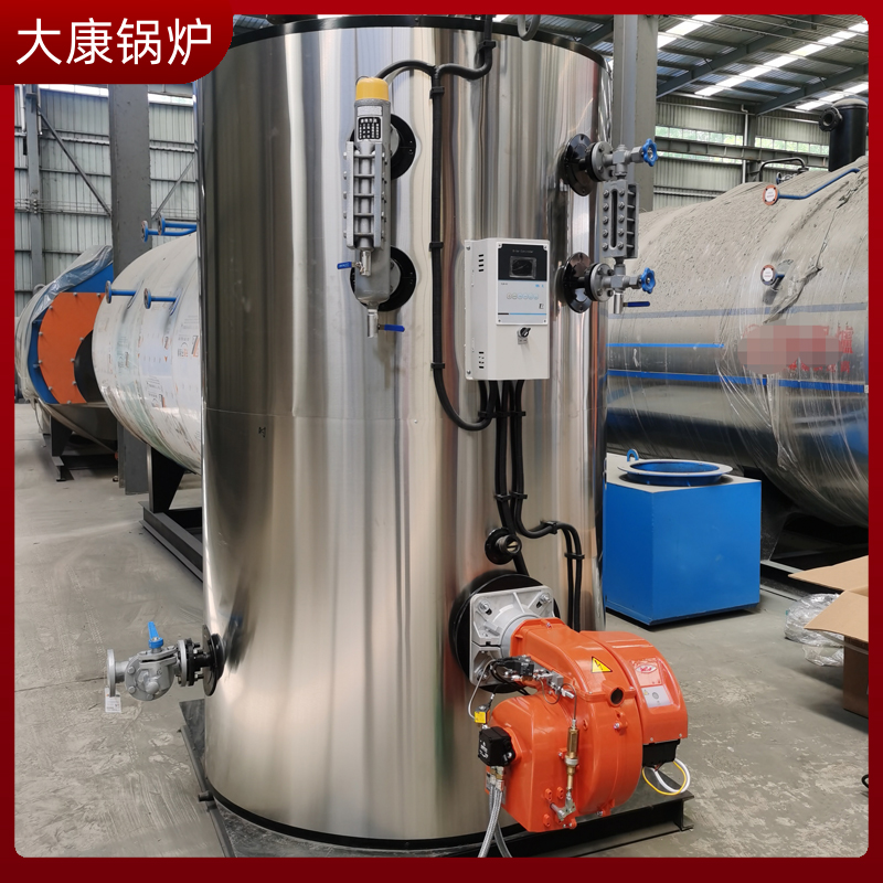 兩噸生物質(zhì)蒸汽鍋爐