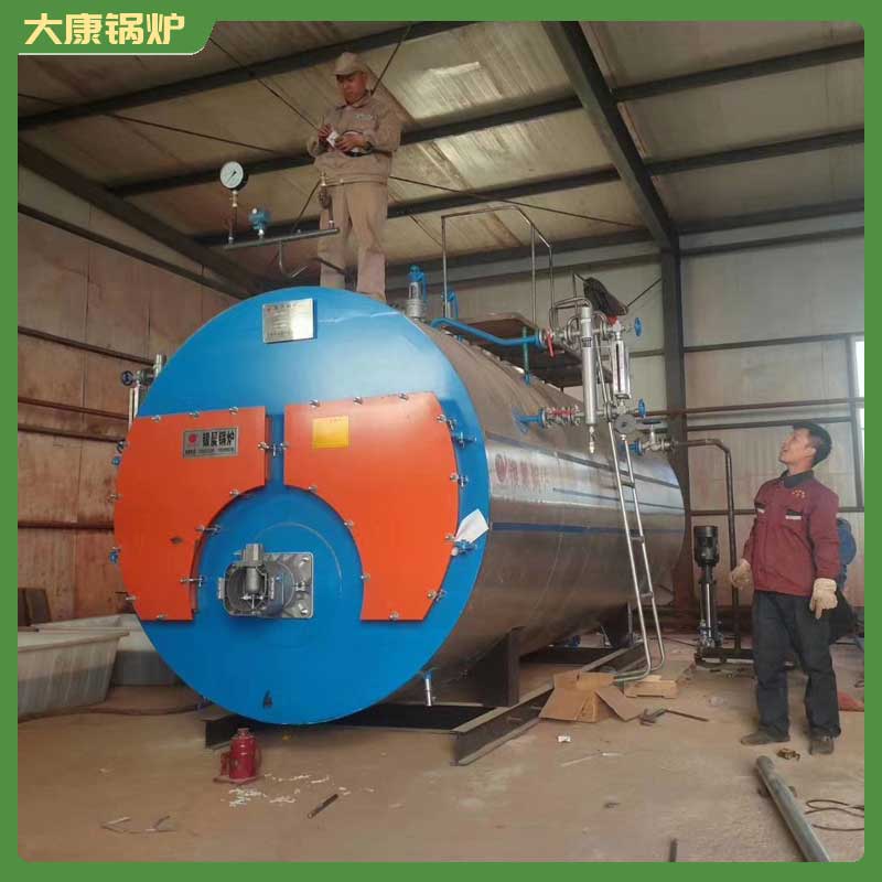 生物顆粒導熱油鍋爐